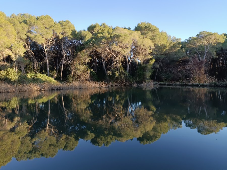 El lago
