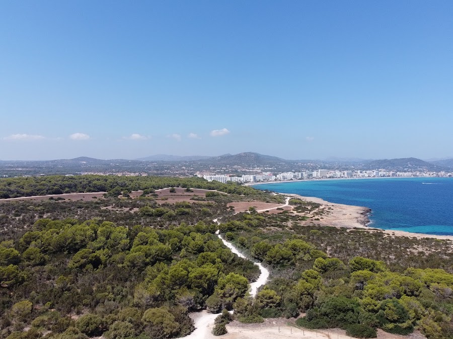 Platja Cala Millor