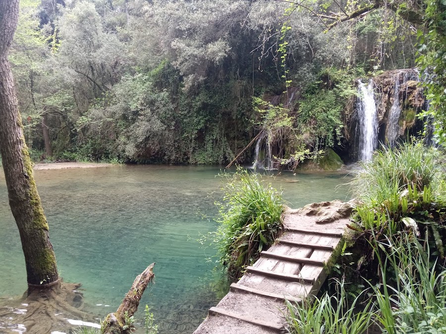 Zona Esportiva Plana del Molí