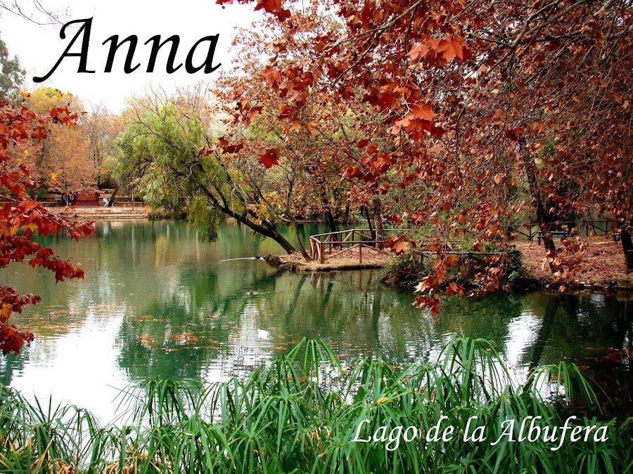 Los Lagos